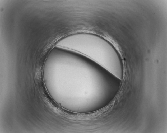 X0000086110009200703231128