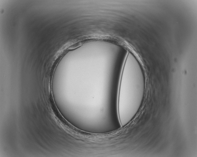 X0000086110011200703231128