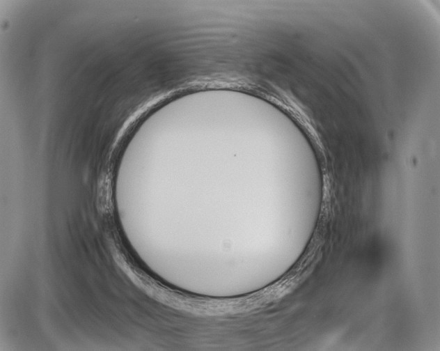 X0000086110012200703231128