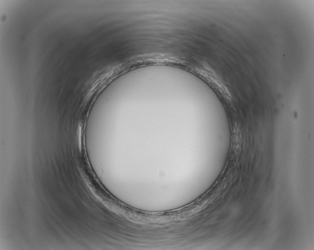 X0000086110014200703231128