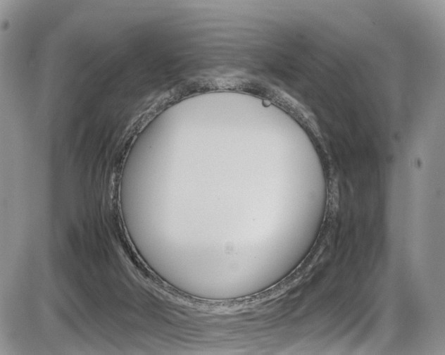 X0000086110018200703231128