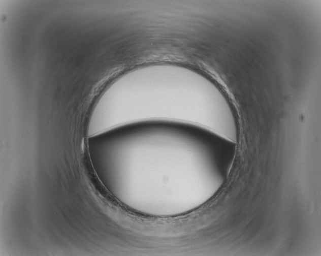 X0000086110019200703231128