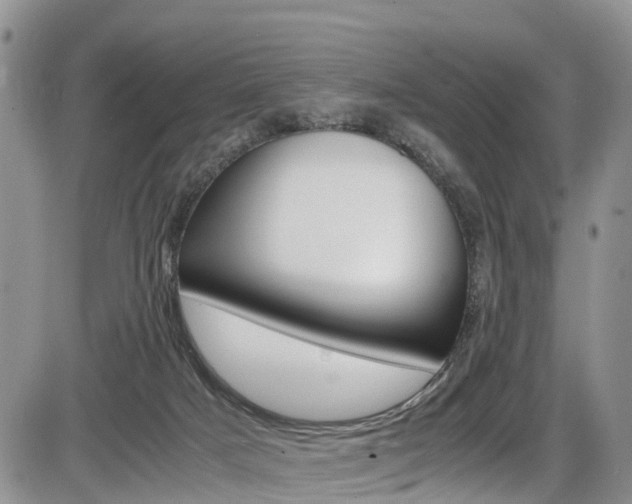 X0000086110025200703231128