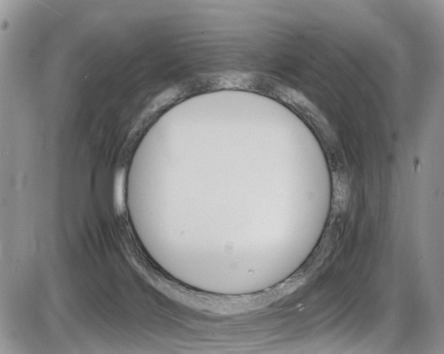 X0000086110028200703231128