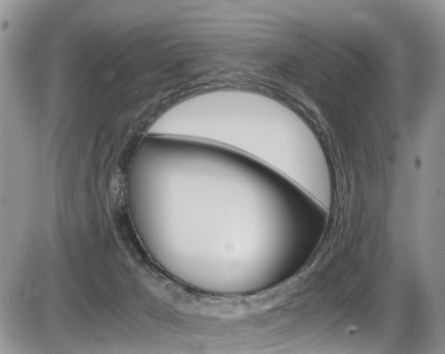 X0000086110029200703231128