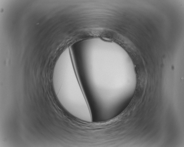 X0000086110031200703231128