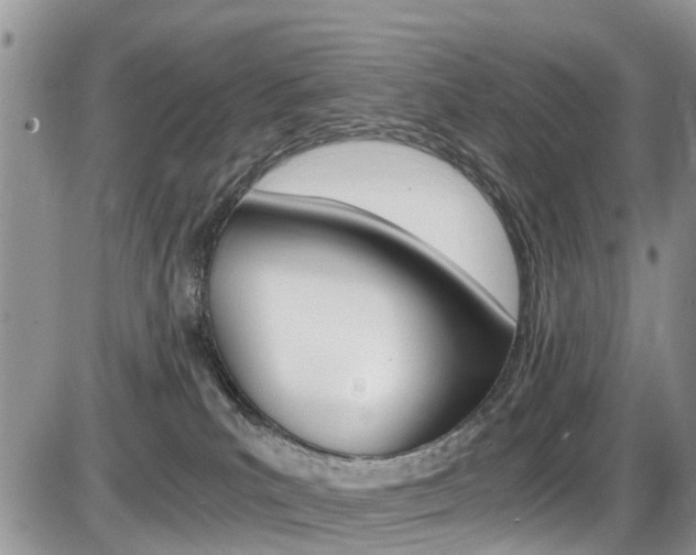 X0000086110039200703231128