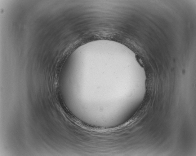 X0000086110040200703231128