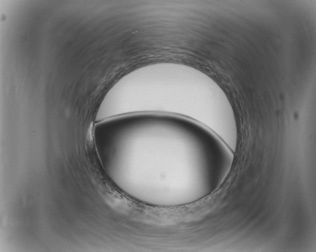 X0000086110041200703231128