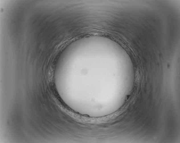 X0000086110043200703231128