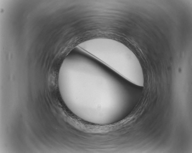 X0000086110044200703231128