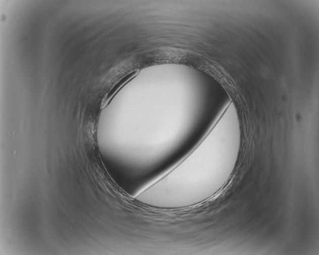 X0000086110045200703231128