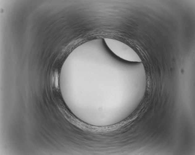 X0000086110046200703231128