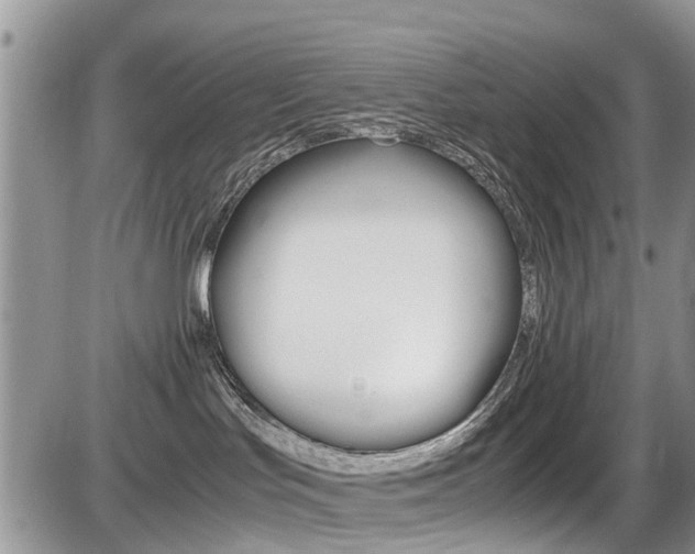 X0000086110047200703231128