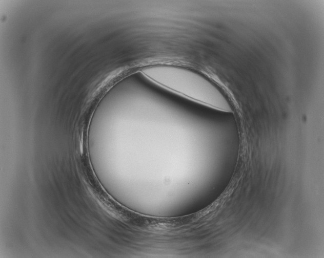X0000086110062200703231127