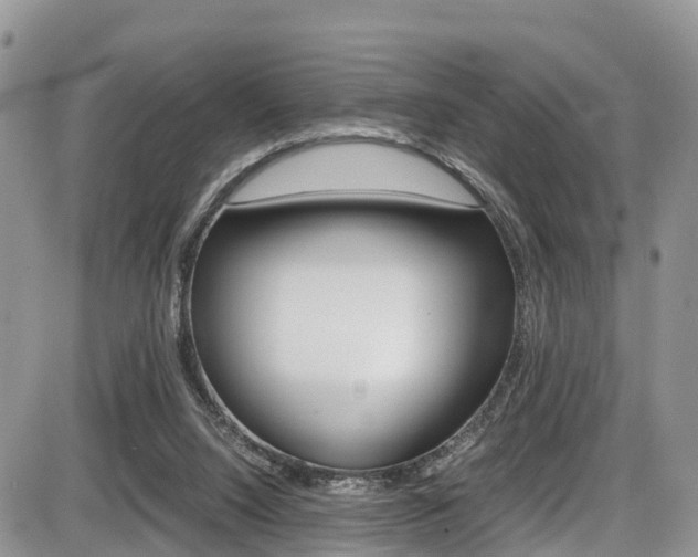 X0000086110064200703231127