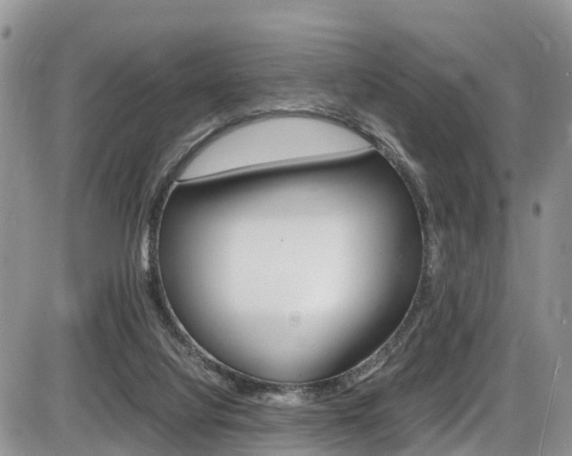 X0000086110068200703231127