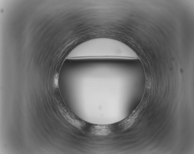 X0000086110095200703231127
