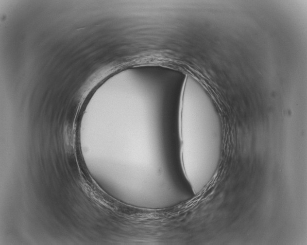 X0000086110100200703231127