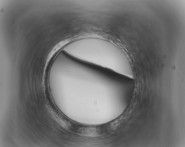 X0000086110104200703231127