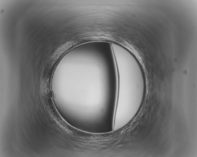 X0000086110105200703231127