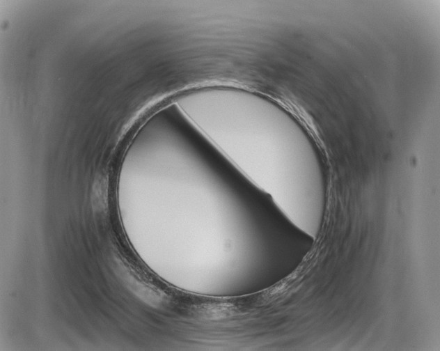 X0000086110108200703231126