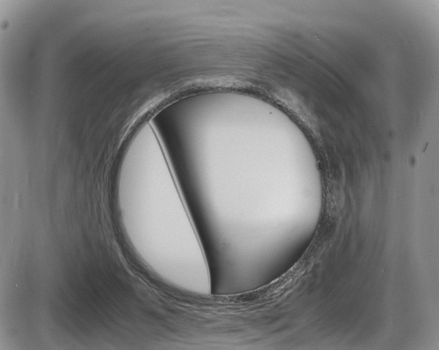 X0000086110111200703231126