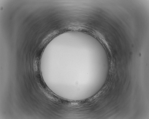 X0000086110114200703231126