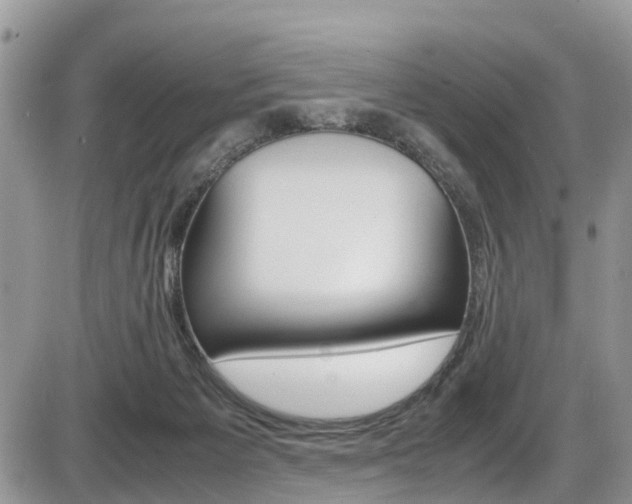 X0000086110125200703231126