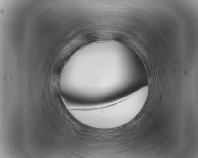 X0000086110141200703231126