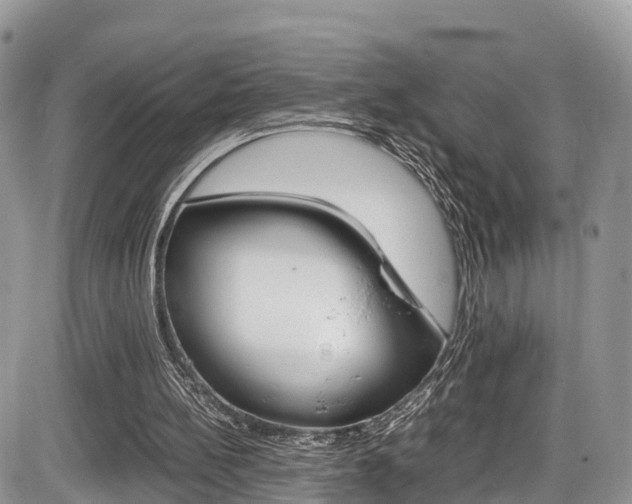 X0000086110148200703231125