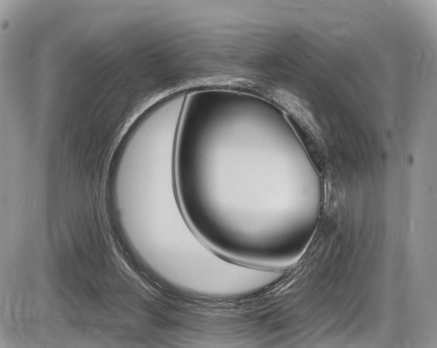 X0000086110156200703231125