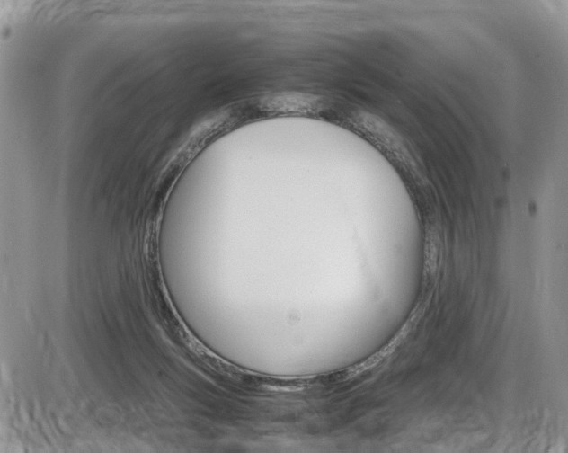 X0000086110167200703231125