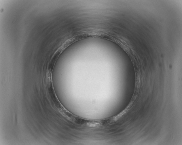 X0000086110172200703231126