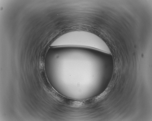 X0000086110176200703231126