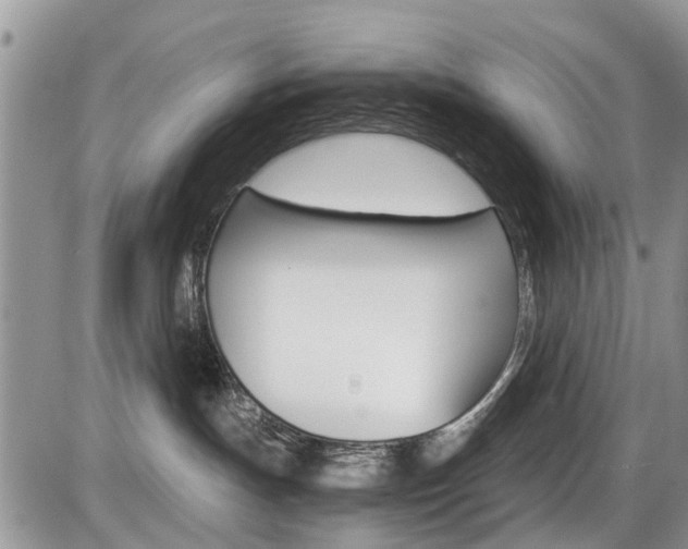 X0000086110191200703231126