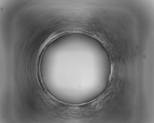 X0000086110195200703231125