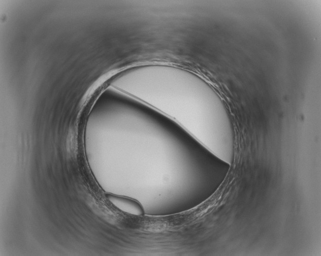 X0000086110200200703231125