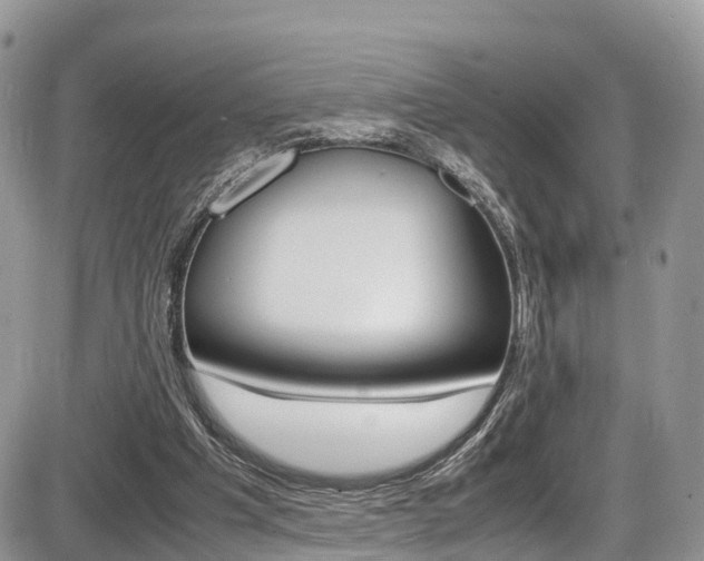 X0000086110201200703231125