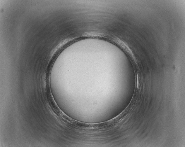 X0000086110204200703231125