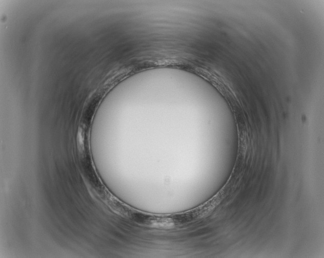 X0000086110214200703231125