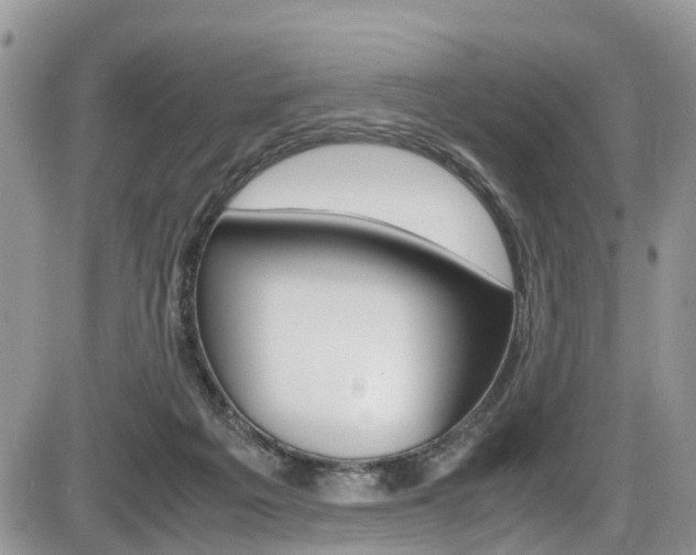 X0000086110217200703231125