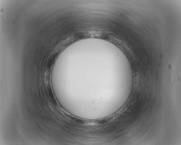 X0000086110218200703231125
