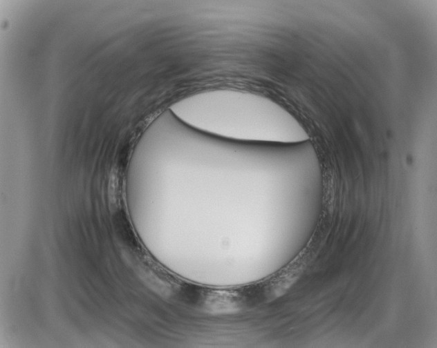 X0000086110222200703231125