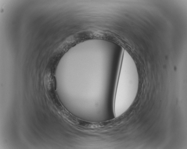 X0000086110223200703231125