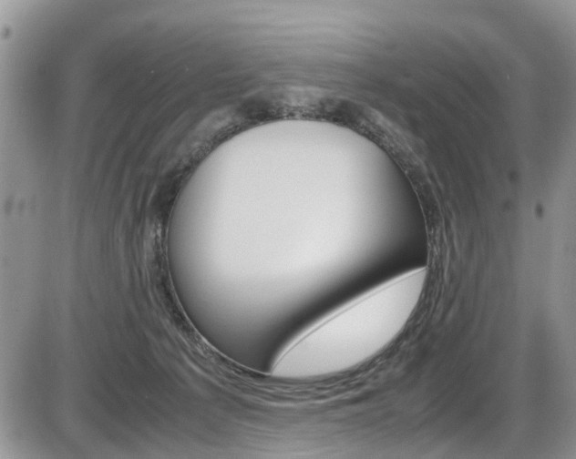 X0000086110225200703231125