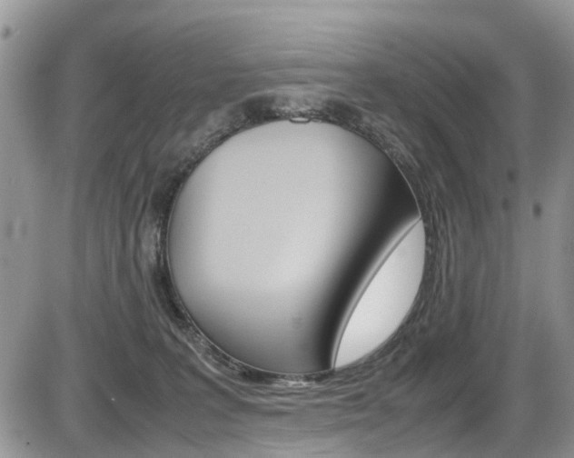 X0000086110227200703231124