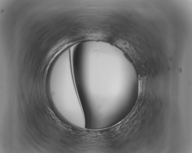 X0000086110243200703231123