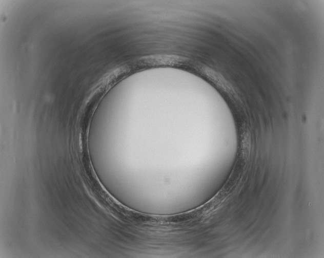 X0000086110254200703231124