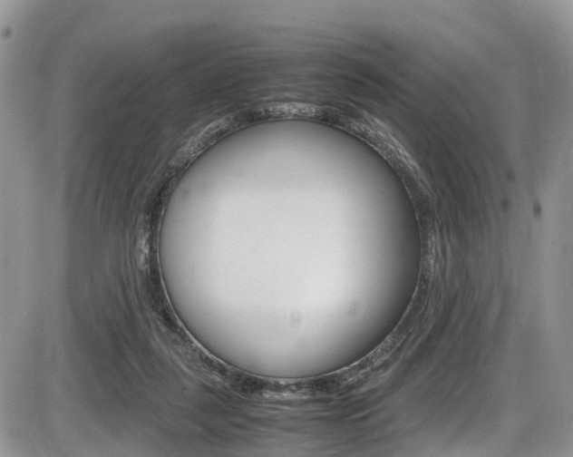 X0000086110259200703231124
